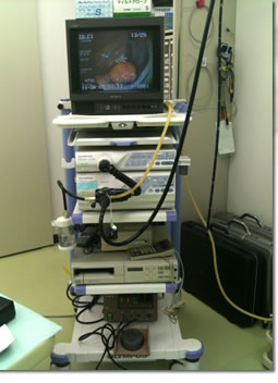 電子内視鏡システム