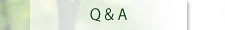 Q&A